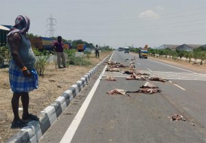 தூத்துக்குடியில் லாரி மோதியதில் 26 ஆடுகள் பரிதாப சாவு